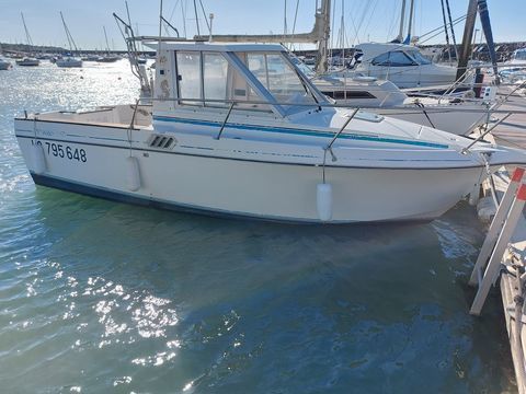 Bateaux &agrave; moteur P&ecirc;che-promenade 1993 occasion Jard-sur-Mer 85520