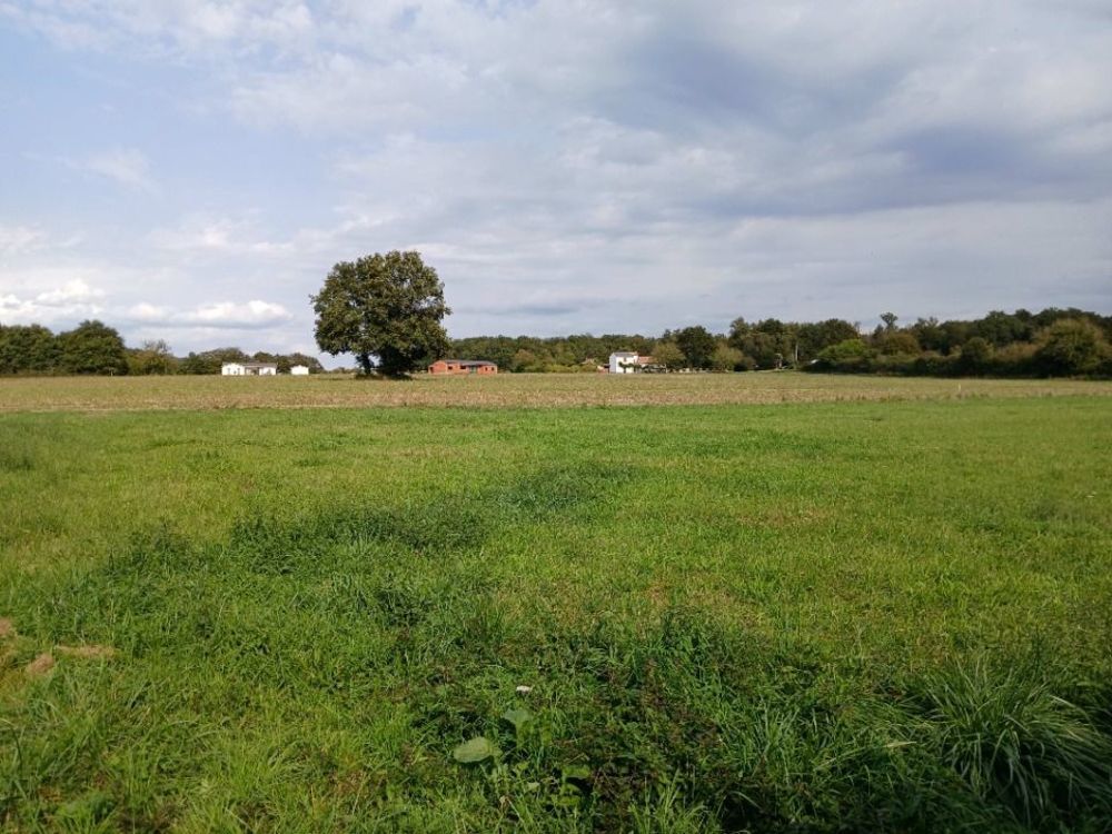   Tocane-Saint-Apre (24350)