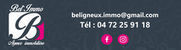 BEL IMMO