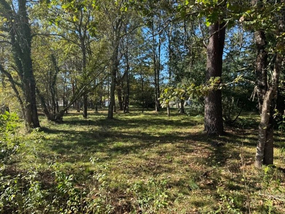 Maisons neuves   Vensac (33590)