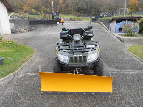 ARCTIC-CAT Quad 2009 occasion B&eacute;on 01350