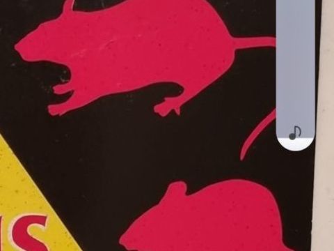 5 kg sachets de raticides anti-rats et souris 80 83210 Sollis-toucas