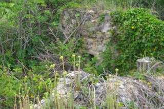  Terrain � vendre 9040 m�