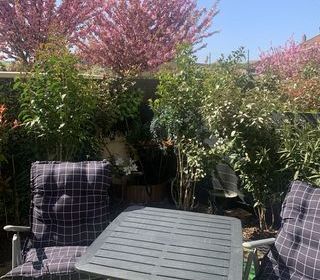  Appartement � vendre 1 pi�ce 31 m�