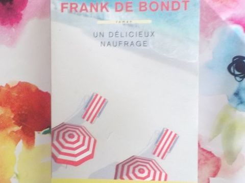 UN DELICIEUX NAUFRAGE de Frank de BONDT Ed. Buchet.Chastel 5 Bubry (56)