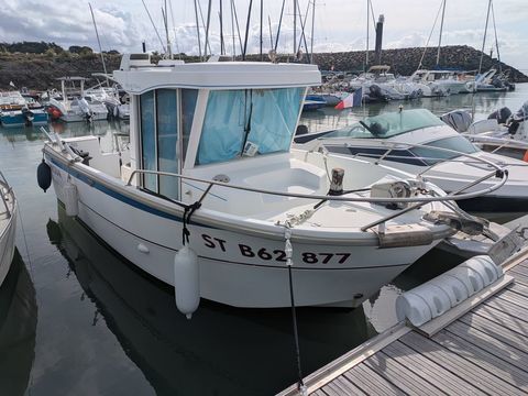 Bateaux &agrave; moteur P&ecirc;che-promenade 2001 occasion Pornic 44210