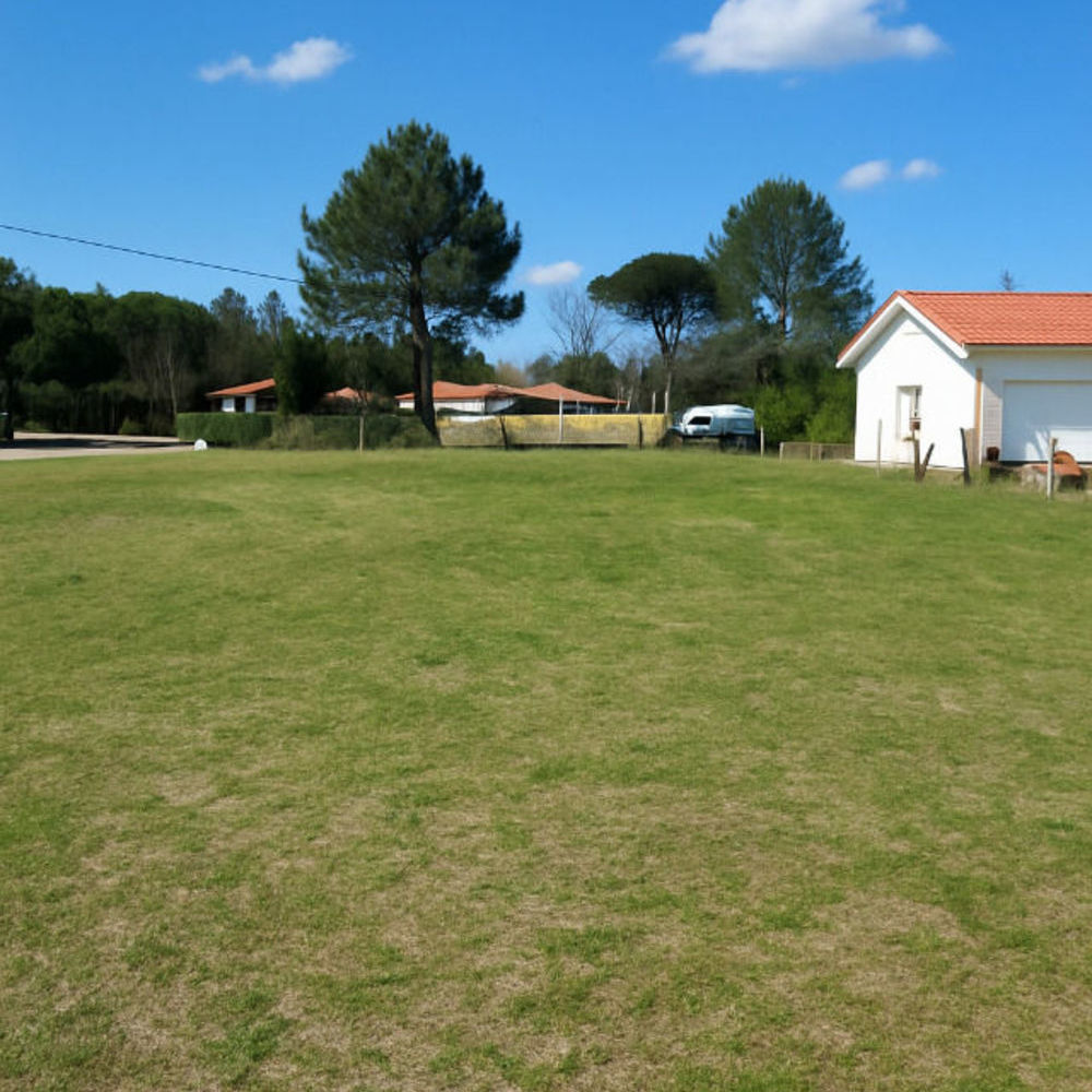 Maisons neuves   Mimizan (40200)