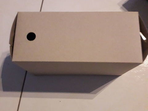 BOITE OISEAUX TRANSPORTS EN CARTON 25 95460 �zanville