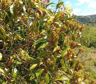  Terrain � vendre 741400 m�