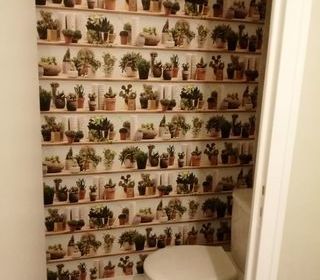  Appartement � louer 2 pi�ces 50 m�