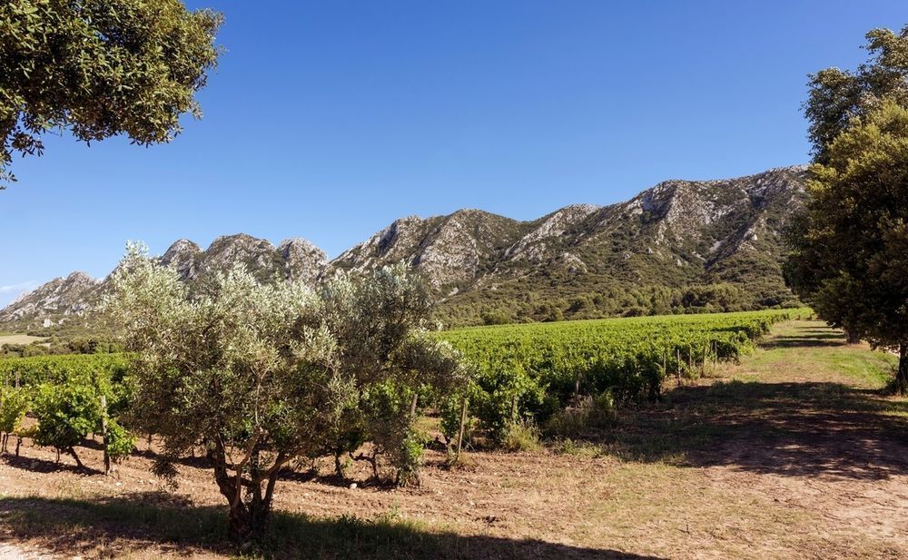   Saint-R�my-de-Provence (13210)