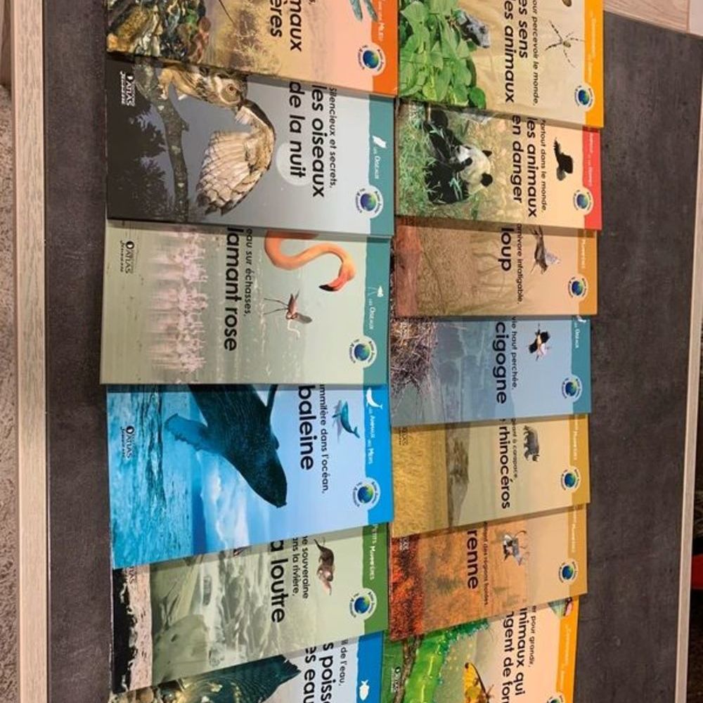 Atlas junior Livres et BD