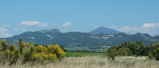 Agence CABINET PHOENIX Nice