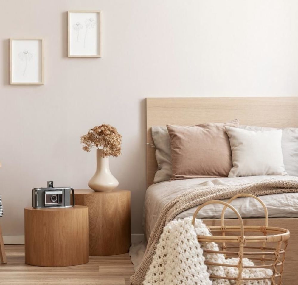 Appartements neufs   Toulouse (31300)