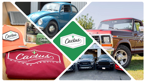 CACTUS COLLECTION, concessionnaire 33