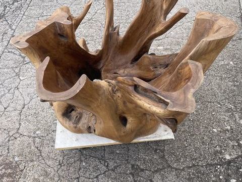 Table basse en Olivier  450 Castelnau-de-Guers (34)