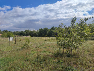  Terrain à vendre 