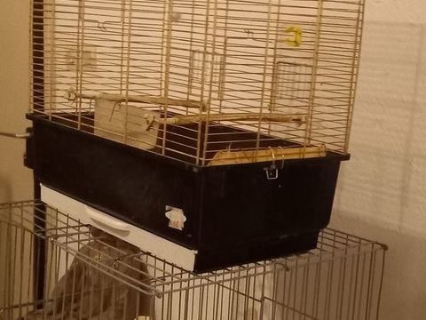 cage et volières 5 01990 Relevant