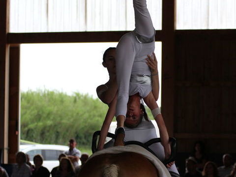 EQUI-GYM
centre equestre a ELNE 25 66200 Elne