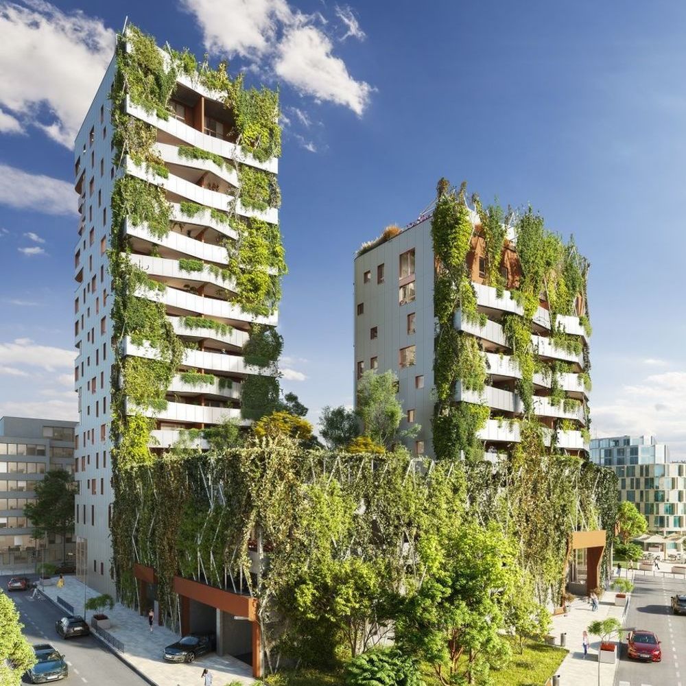 Appartements neufs   Strasbourg (67000)