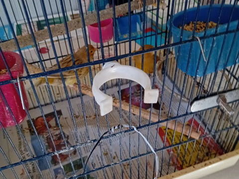 Canaris 25 25000 Besanon