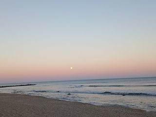  Appartement � vendre 1 pi�ce 21 m�