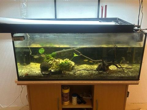 Aquarium complet 800 95670 Marly-la-ville