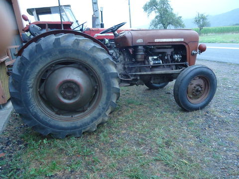 MASSEY FERGUSON Tracteur agricole 1959 occasion Lannemezan 65300