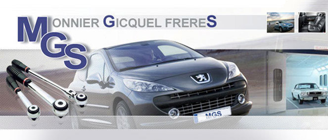 MGS, concessionnaire 56