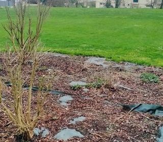  Terrain � vendre 1186 m�