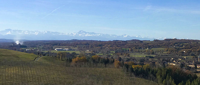 Agence AGENCE CASS Saint-Gaudens