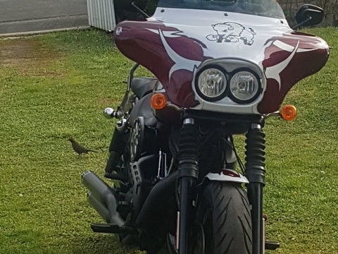 Moto HARLEY-DAVIDSON 2014 occasion Vallauris 06220