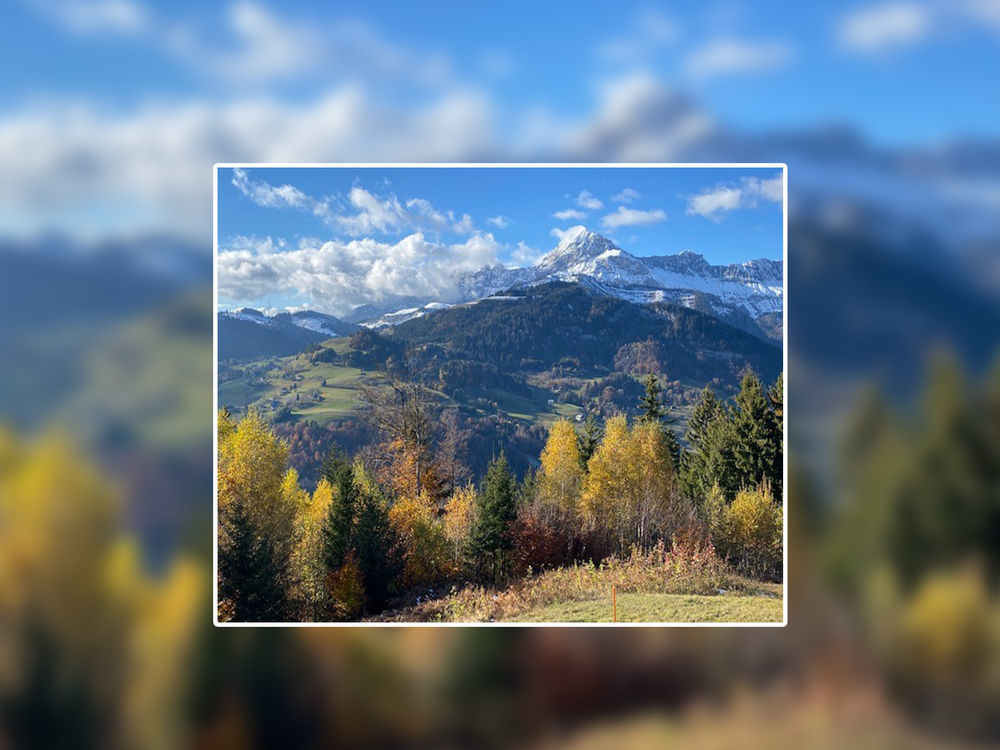 Terrains � batir   Crest-Voland (73590)