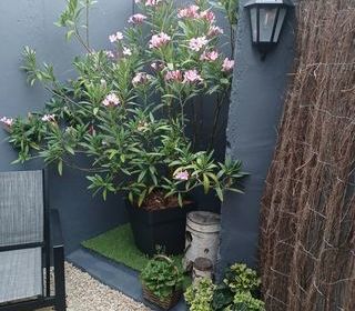  Maison � louer 2/3 pi�ces 45 m�