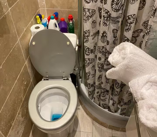  Appartement � louer 1 pi�ce 17 m�