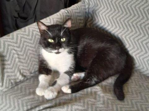 REGLISSE 210 92400 Courbevoie