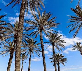 Location  Appartement 