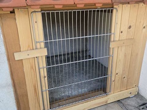 Recherche,couple lapin fermier, sur paris 0 93800 Épinay-sur-seine
