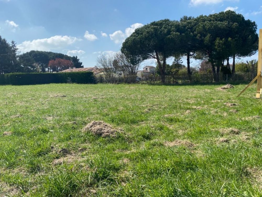   Saint-Augustin (17570)