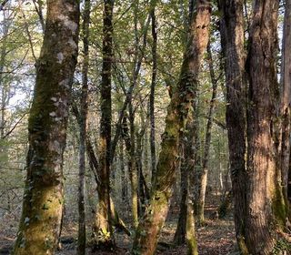  Terrain � vendre 4480 m�