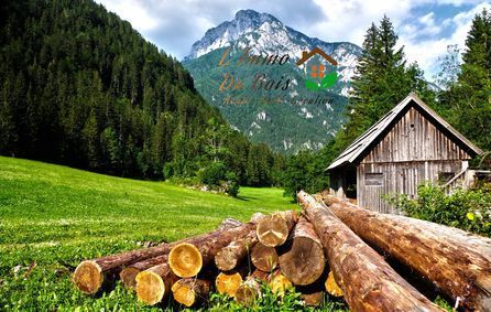 Agence L'IMMO DU BOIS  Roussillon