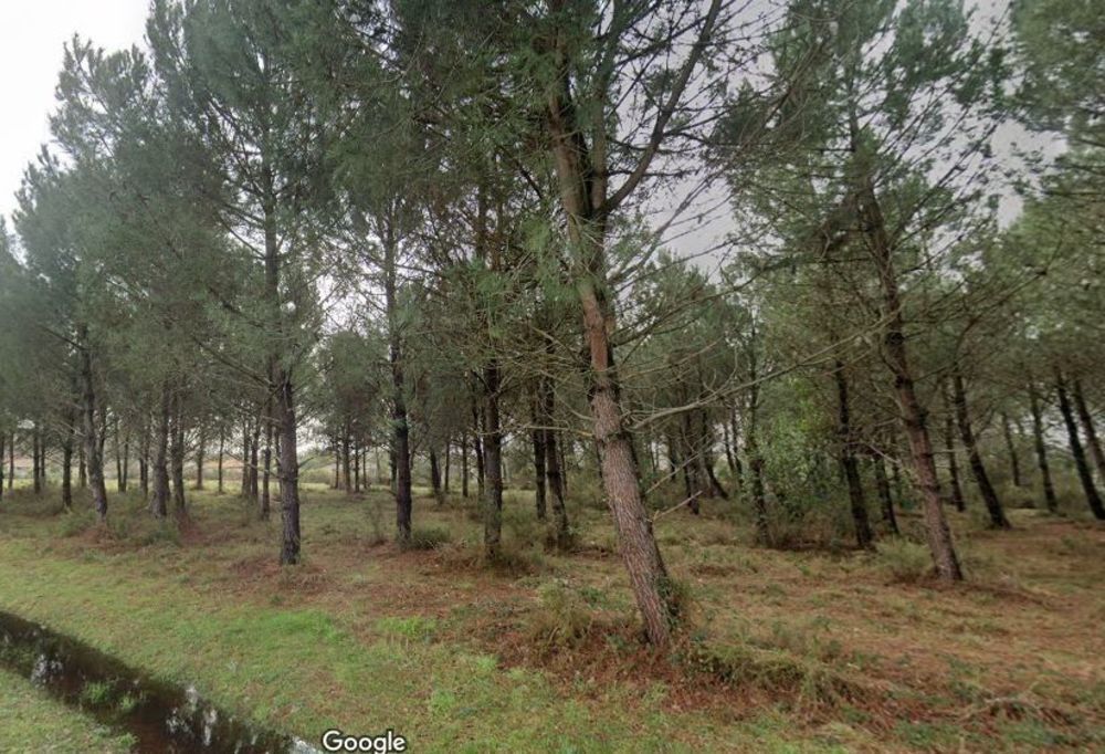 Maisons neuves   Andernos-les-Bains (33510)