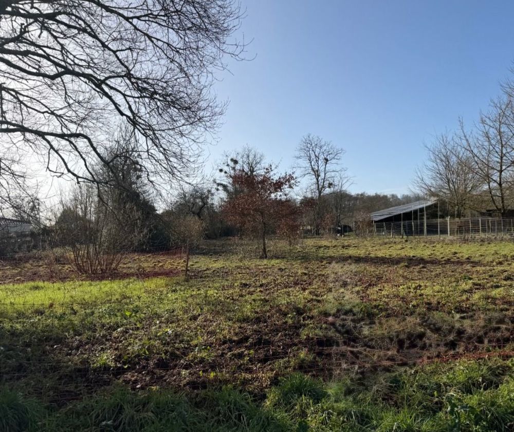 Maisons neuves   Villandraut (33730)