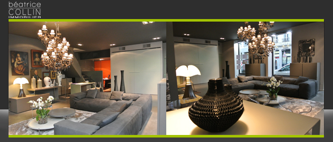 Agence BEATRICE COLLIN IMMOBILIER Lyon