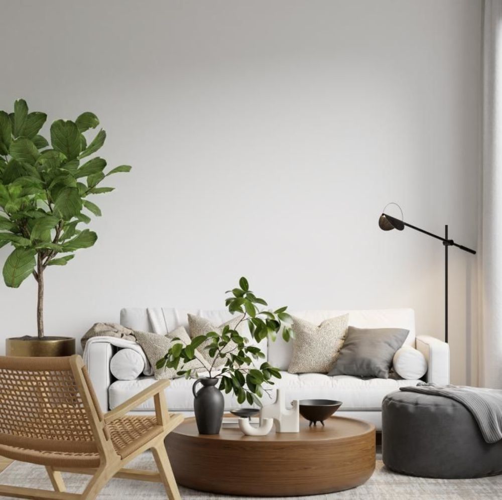 Appartements neufs   Le Perreux-sur-Marne (94170)