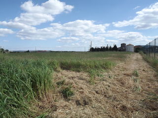  Terrain � vendre 1277 m�