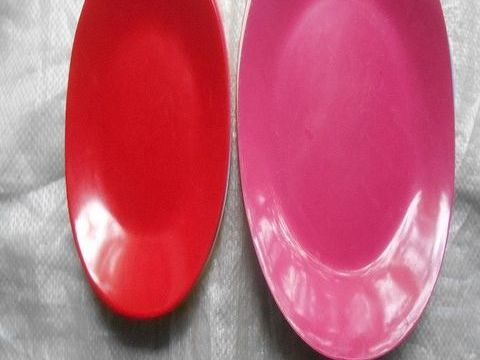 LOT DE RAVIERS ET ASSIETTES EN MELAMINE 6 Saint-Denis-en-Val (45)