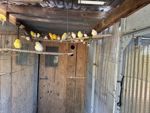 CANARIS 22 71390 Messey-sur-grosne