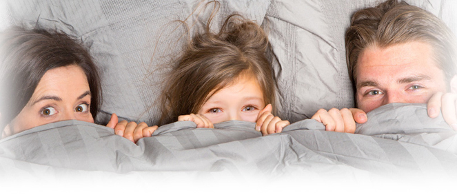 Agence IMMO DE FRANCE MENDE Mende