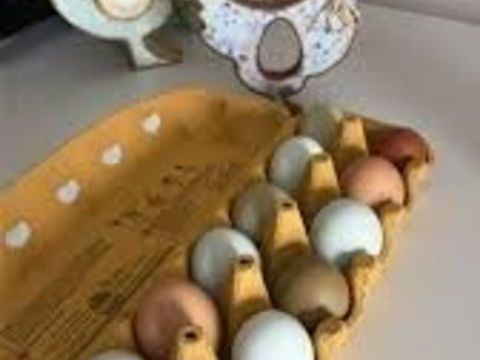 Oeufs frais du jour - Bo&icirc;te de 12 (&Eacute;cuelles 77) 5 77250 Écuelles